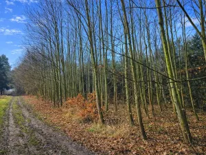 Prodej pozemku, 9079 m2