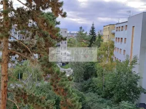 Pronájem bytu 2+kk, Praha - Nusle, U družstva Život, 60 m2