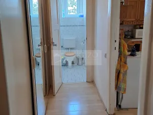 Pronájem bytu 2+kk, Praha - Nusle, U družstva Život, 60 m2