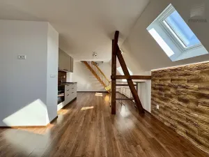 Pronájem bytu 2+kk, Brno, Mahenova, 50 m2