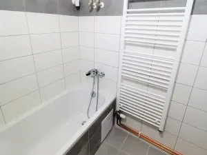 Pronájem bytu 1+kk, Klatovy, Rybníčky, 40 m2