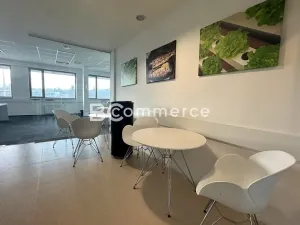 Pronájem kanceláře, Brno, 620 m2