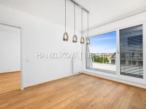 Pronájem bytu 3+kk, České Budějovice - České Budějovice 2, Branišovská, 80 m2