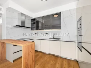 Pronájem bytu 3+kk, České Budějovice - České Budějovice 2, Branišovská, 80 m2