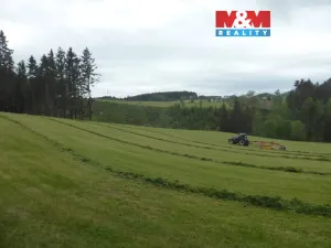 Prodej lesa, Vysoká Srbská, 26095 m2