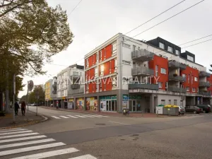 Pronájem bytu 1+kk, České Budějovice - České Budějovice 3, Pekárenská, 34 m2