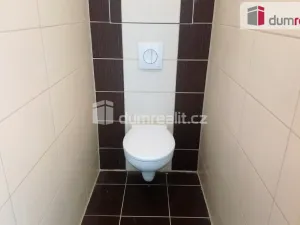 Pronájem bytu 2+1, Benátky nad Jizerou - Benátky nad Jizerou II, Pražská, 57 m2