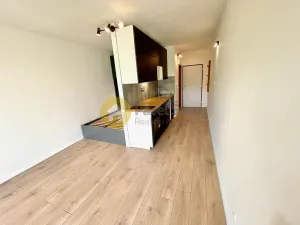 Pronájem bytu 1+kk, Strakonice - Přední Ptákovice, Šumavská, 24 m2