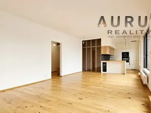 Pronájem bytu 4+kk, Praha - Nusle, Bělehradská, 123 m2