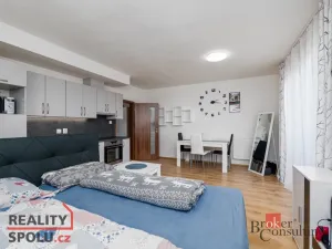 Pronájem bytu 1+kk, Heřmanova Huť - Vlkýš, U Pondu, 40 m2