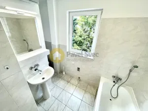 Pronájem bytu 1+kk, Strakonice - Přední Ptákovice, Hraniční, 22 m2