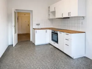 Pronájem bytu 1+1, Praha, Petra Rezka, 44 m2