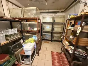 Prodej rodinného domu, Bělušice - Bedřichův Světec, 180 m2