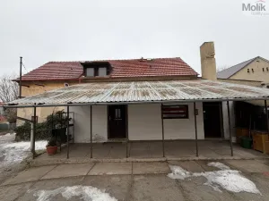 Prodej rodinného domu, Bělušice - Bedřichův Světec, 180 m2