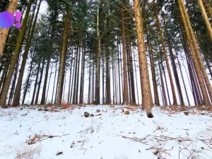 Prodej pozemku, Liptál, 17190 m2