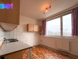 Prodej bytu 2+1, Šumperk, Pod hájovnou, 47 m2