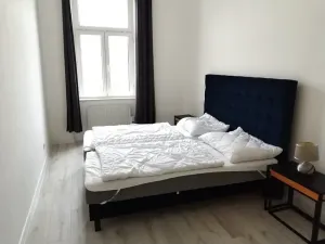 Pronájem bytu 2+1, Teplice, Vrchlického, 56 m2