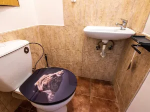 Prodej bytu 3+1, Česká Lípa, Dlouhá, 75 m2