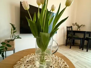 Pronájem bytu 1+kk, Lanškroun - Žichlínské Předměstí, Palackého, 37 m2