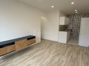 Pronájem bytu 2+kk, Kladno - Kročehlavy, Ústecká, 41 m2