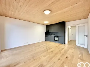 Pronájem bytu 1+kk, Praha, Ujgurská, 41 m2