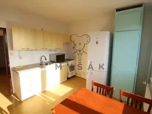 Prodej bytu 1+1, České Budějovice - České Budějovice 4, Rudolfovská tř., 46 m2