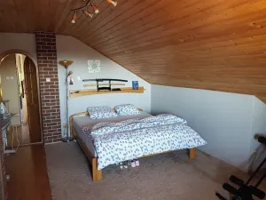 Prodej rodinného domu, Horní Bludovice, 330 m2