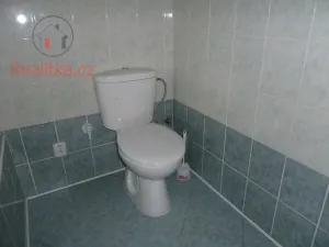 Pronájem bytu 2+1, Tábor, Chýnovská, 72 m2