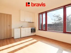 Pronájem bytu 1+kk, Brno, Francouzská, 22 m2