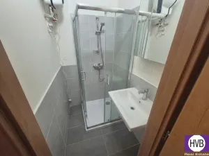 Prodej bytu 1+kk, Praha, Jagellonská, 33 m2