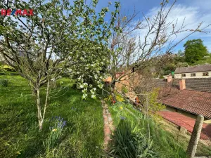 Pronájem rodinného domu, Olomouc - Droždín, Jesenická, 80 m2