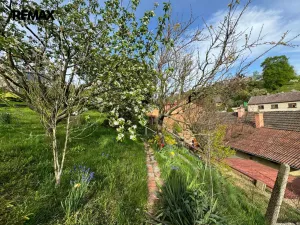 Pronájem rodinného domu, Olomouc - Droždín, Jesenická, 80 m2