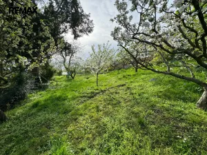 Pronájem rodinného domu, Olomouc - Droždín, Jesenická, 80 m2