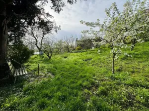 Pronájem rodinného domu, Olomouc - Droždín, Jesenická, 80 m2