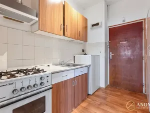 Pronájem bytu 1+1, Brno, Havlišova, 35 m2