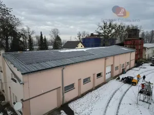 Prodej výrobních prostor, Střítež, 85000 m2