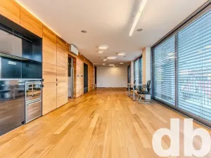 Pronájem bytu 1+kk, Cheb, 26. dubna, 70 m2