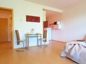 Pronájem bytu 1+kk, Brno, Šemberova, 48 m2