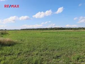 Prodej pozemku pro bydlení, Sezemice, 1269 m2