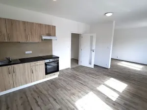 Pronájem bytu 1+kk, Plzeň, Železniční, 40 m2