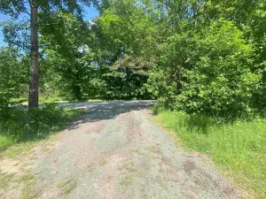 Dražba louky, Býkov-Láryšov, 2300 m2