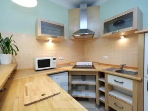 Prodej bytu 1+kk, Praha - Nusle, U družstva Ideál, 27 m2