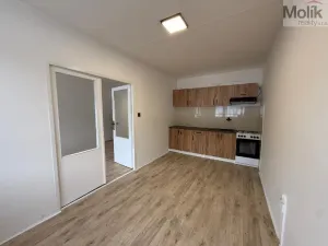 Pronájem bytu 3+1, Most, Josefa Suka, 68 m2