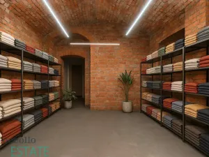 Prodej atypického bytu, Plzeň, Křížkova, 190 m2