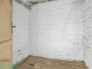 Prodej atypického bytu, Plzeň, Křížkova, 228 m2