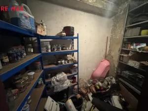 Prodej rodinného domu, Kojetín - Kojetín I-Město, Blanská, 240 m2