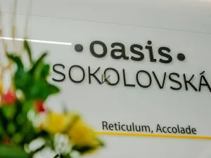 Pronájem kanceláře, Praha - Karlín, Sokolovská, 337 m2