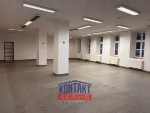Pronájem obchodního prostoru, Týn nad Vltavou, Horní Brašov, 200 m2
