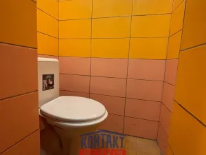 Pronájem obchodního prostoru, Týn nad Vltavou, Horní Brašov, 200 m2