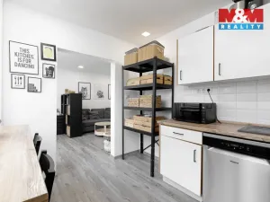 Prodej bytu 2+1, Ostrava - Moravská Ostrava, Ahepjukova, 57 m2